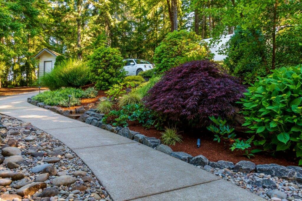 Custom concrete walkway with river stone and lush green landscaping accents | Junction City Oregon