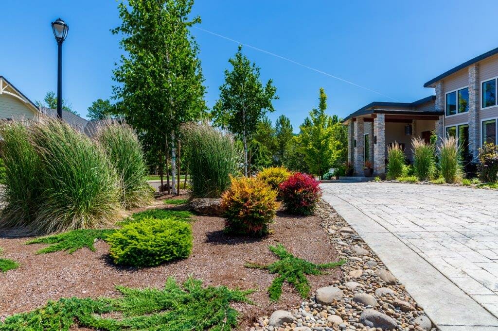 Multicolored shrubs and tall grass for commercial landscape design